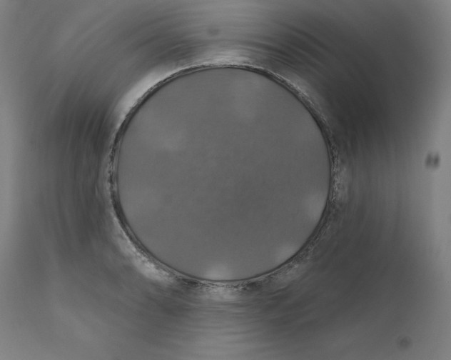 X0000110701086200907021952