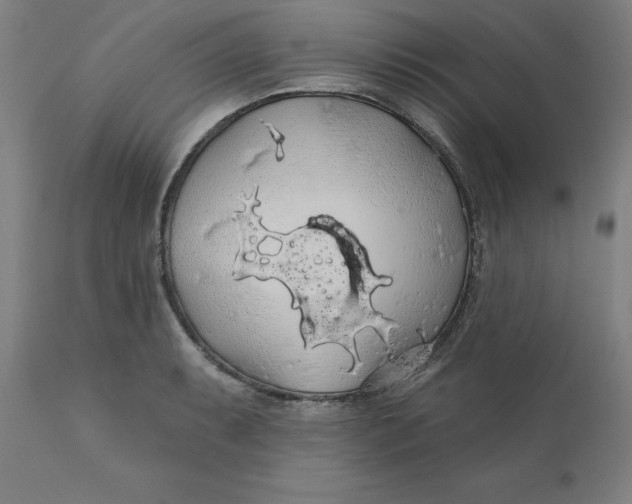 X0000110701087200907021952