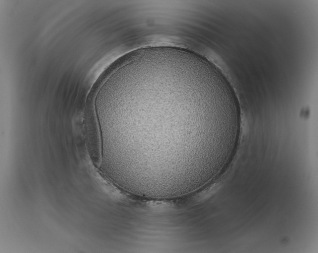 X0000110701089200907021952