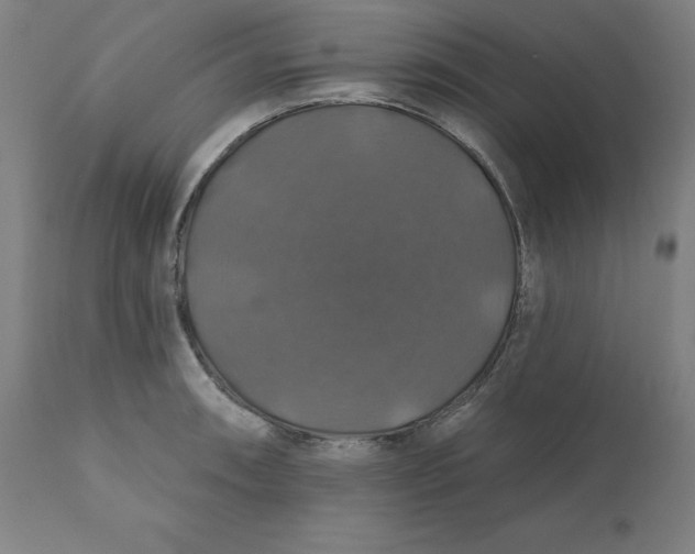 X0000110701090200907021952