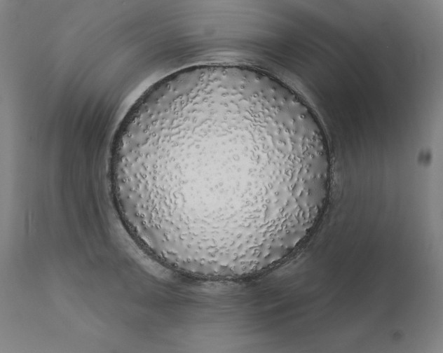 X0000110701091200907021952