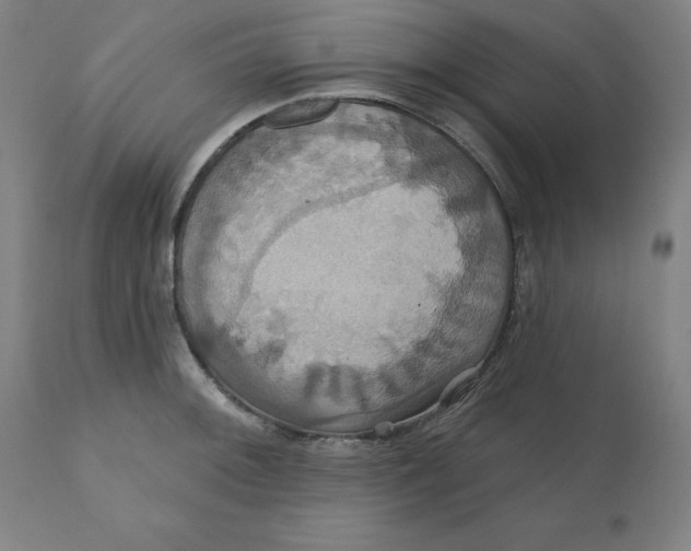 X0000110701092200907021952