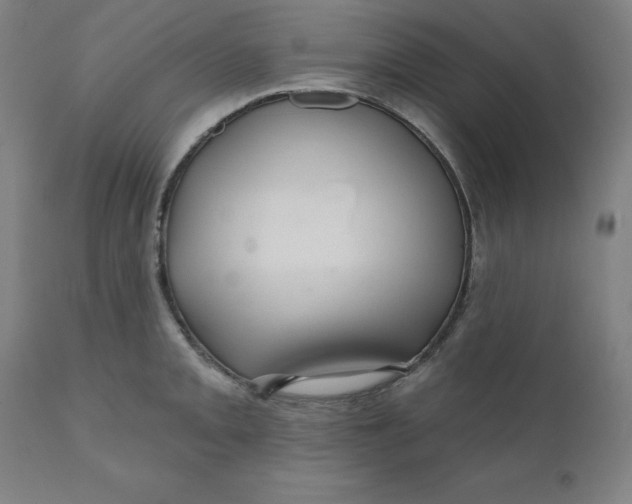 X0000110701093200907021952