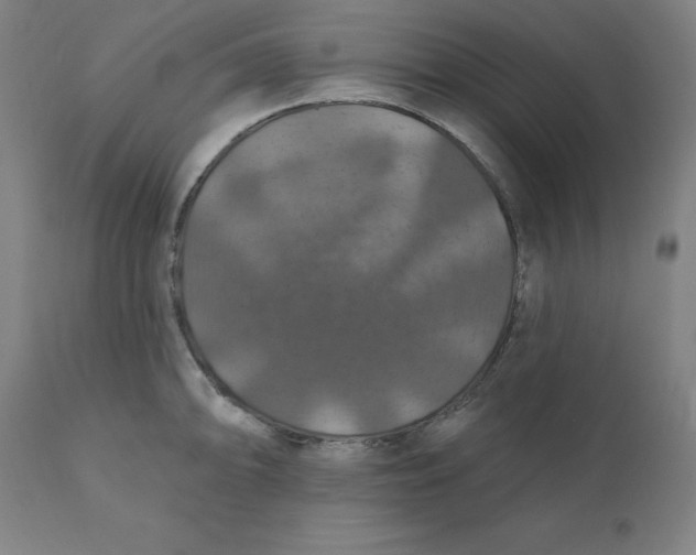 X0000110701094200907021952