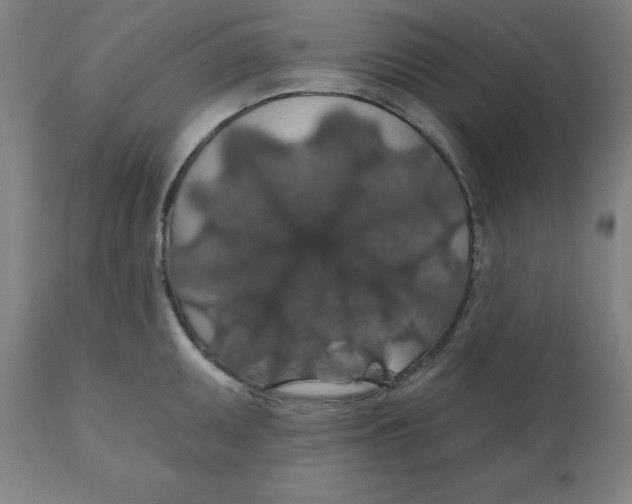 X0000110701095200907021952