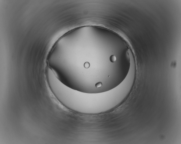 X0000110701096200907021952