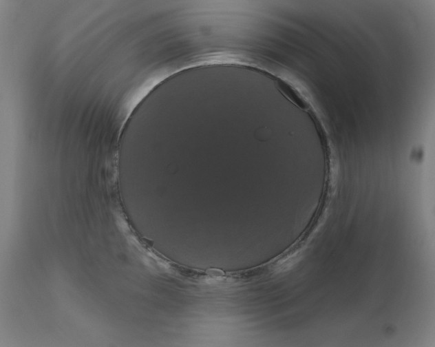 X0000110701097200907021952