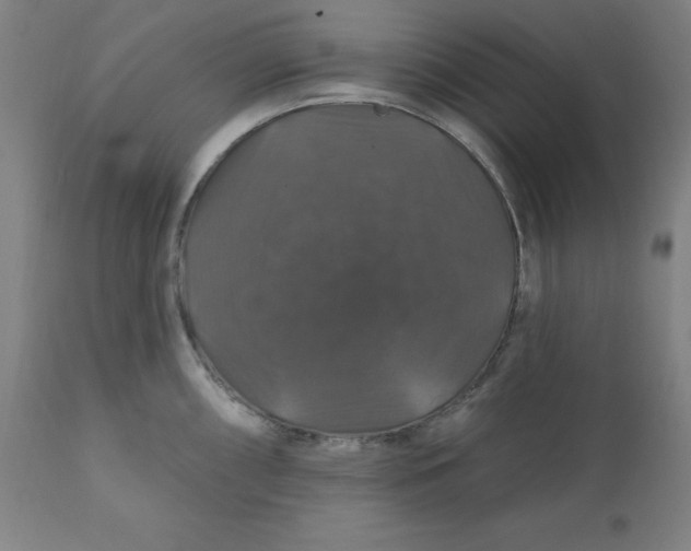 X0000110701098200907021951