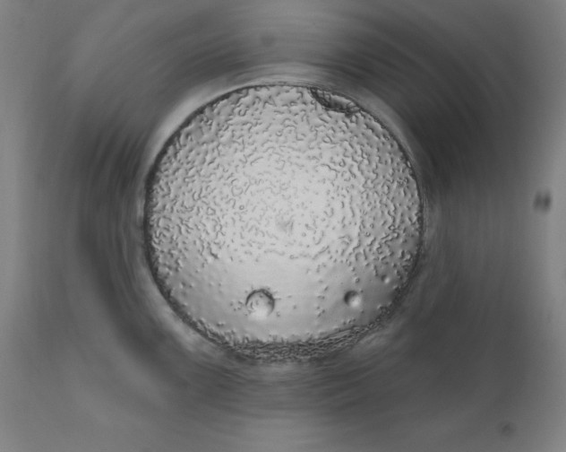 X0000110701099200907021951