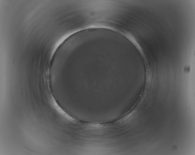 X0000110701100200907021951