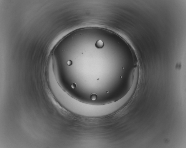 X0000110701101200907021951