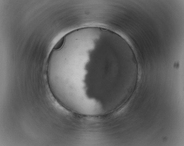 X0000110701102200907021951