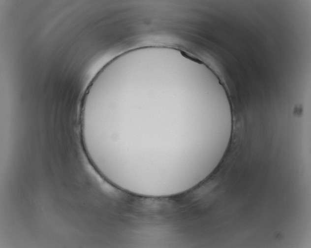 X0000110701103200907021951