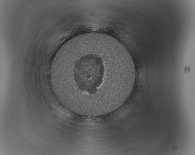 X0000110701105200907021951