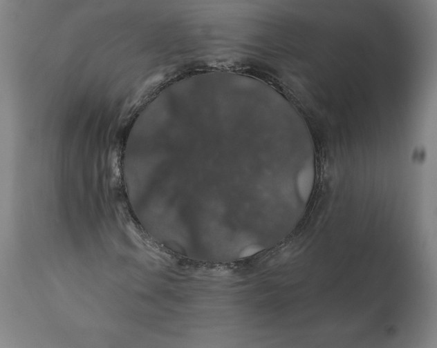 X0000110701106200907021951