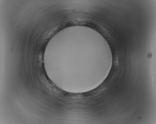 X0000110701108200907021951