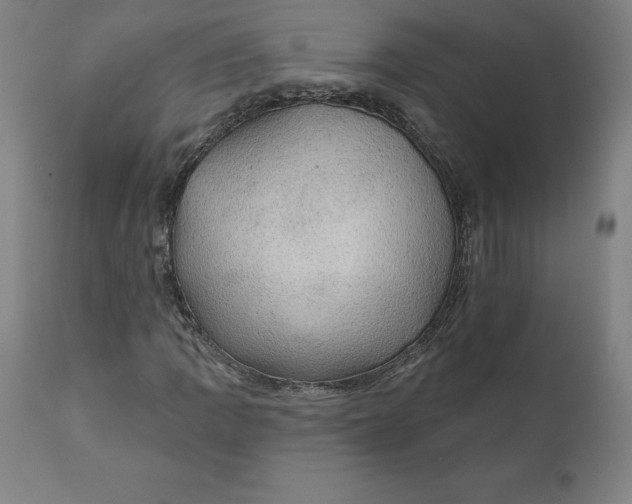 X0000110701109200907021951