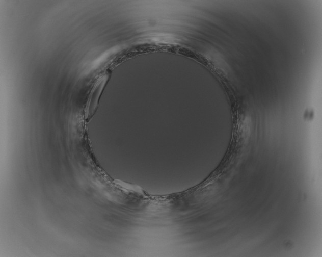 X0000110701110200907021951