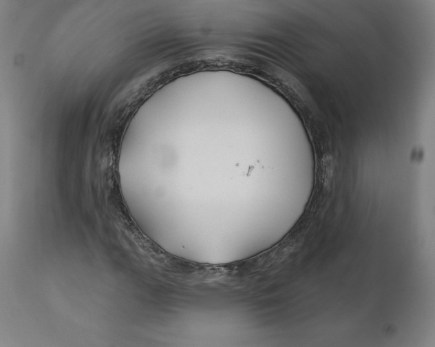 X0000110701111200907021951