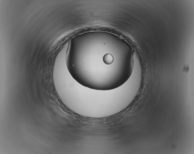 X0000110701112200907021951