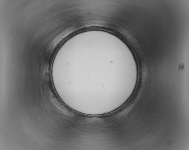 X0000110701113200907021951