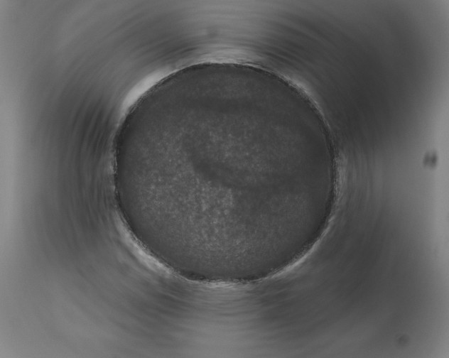 X0000110701114200907021951