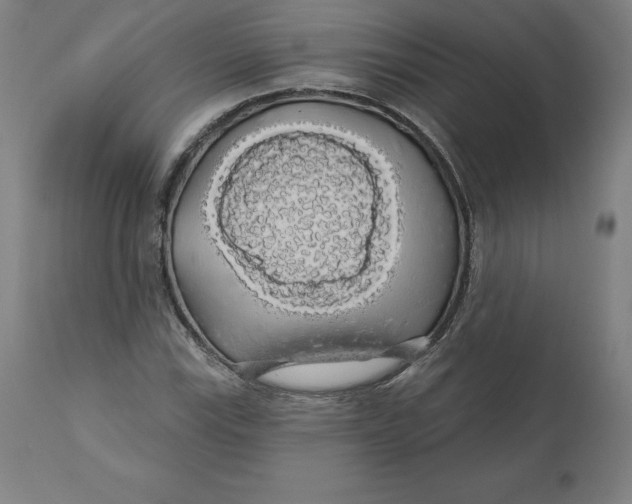 X0000110701115200907021951