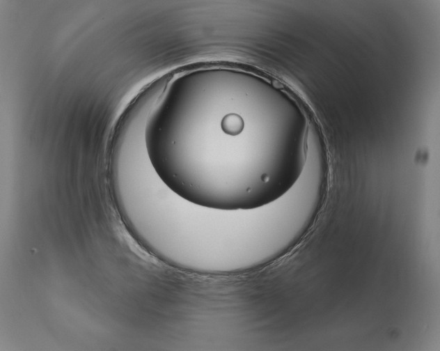 X0000110701116200907021951