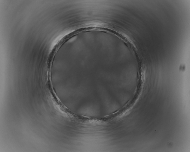 X0000110701117200907021951