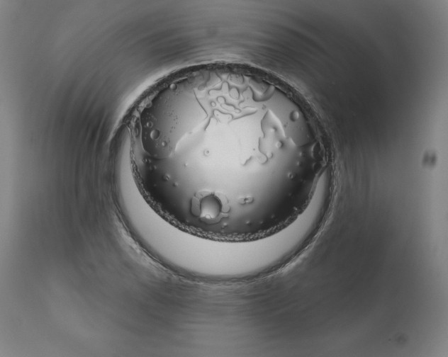 X0000110701118200907021951