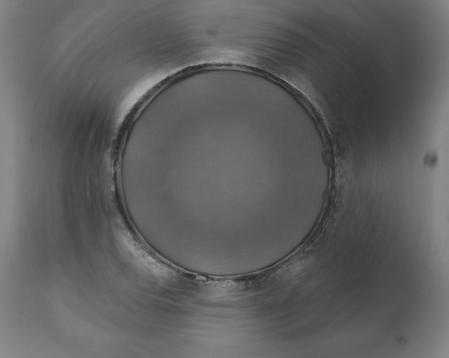 X0000110701120200907021951