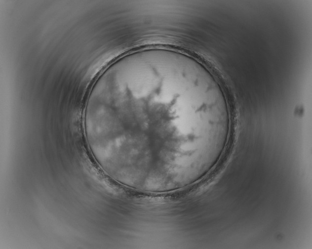 X0000110701121200907021951