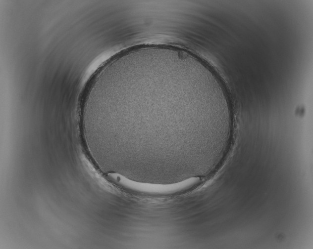 X0000110701122200907021951