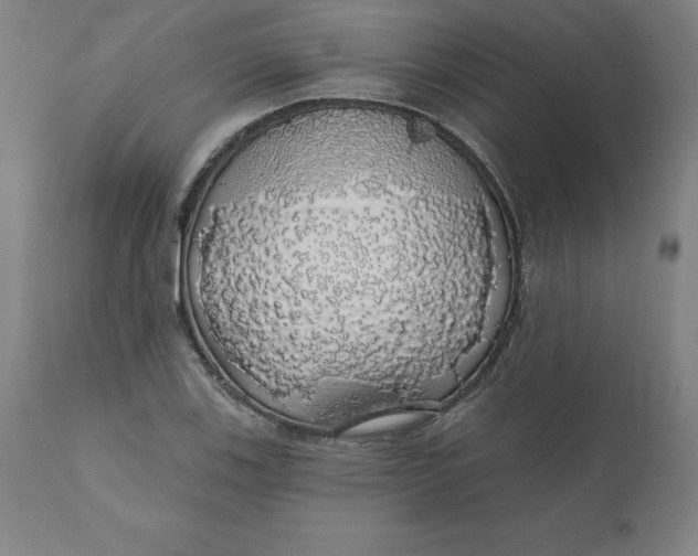 X0000110701123200907021951