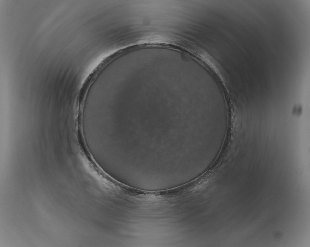 X0000110701124200907021951