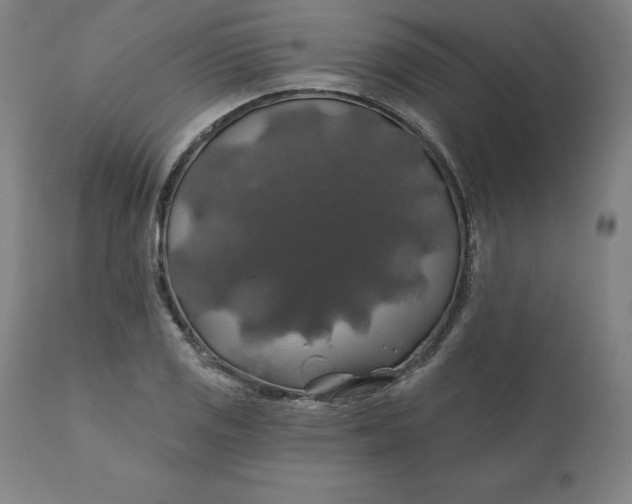 X0000110701125200907021951