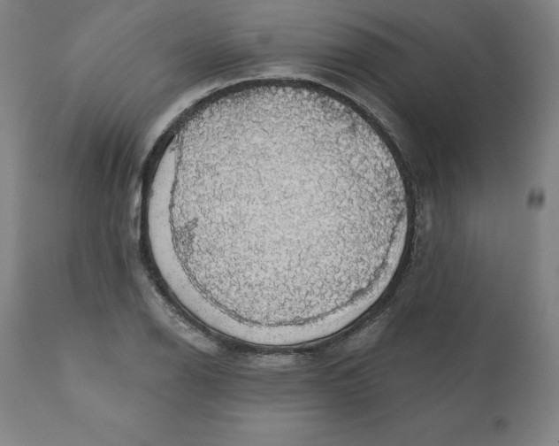 X0000110701126200907021951