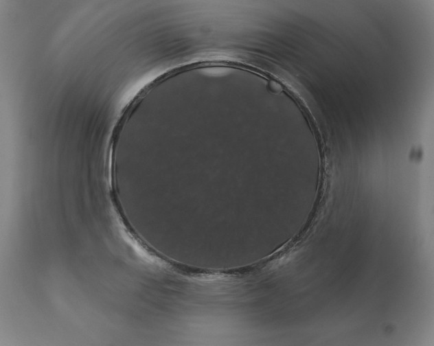 X0000110701127200907021951