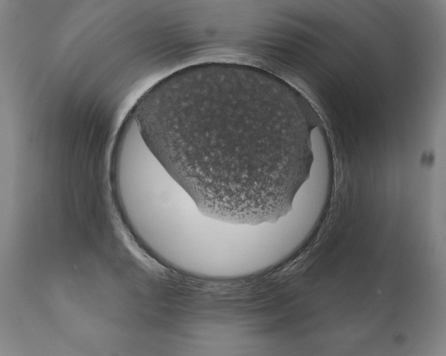 X0000110701128200907021951