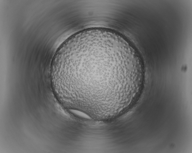 X0000110701129200907021951