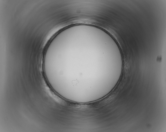 X0000110701131200907021951