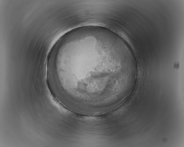 X0000110701132200907021951