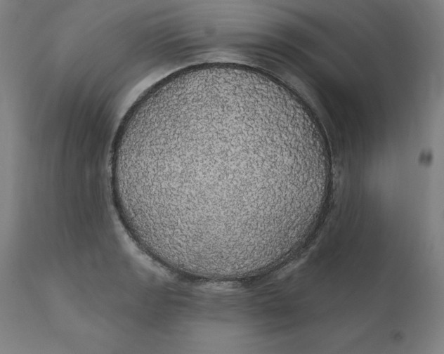 X0000110701133200907021951