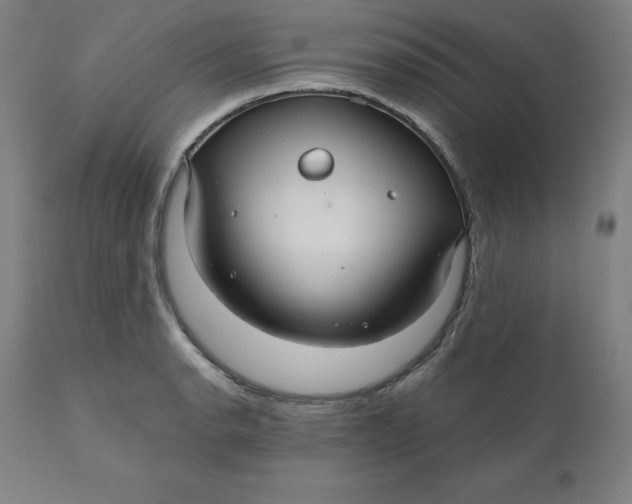 X0000110701134200907021951