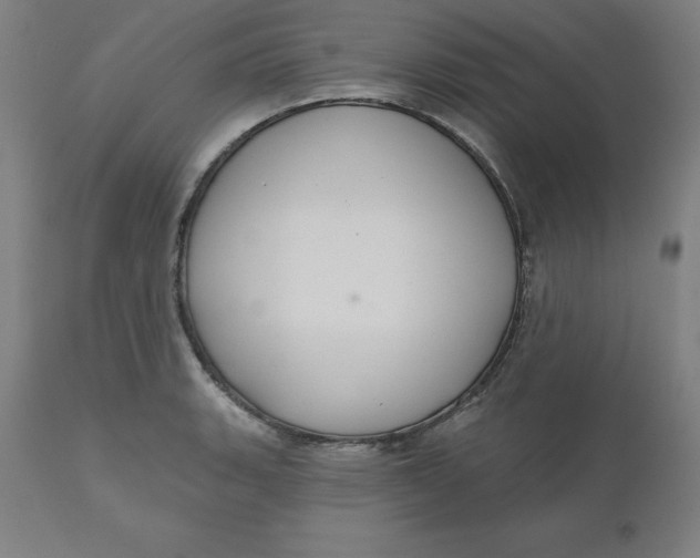 X0000110701135200907021951