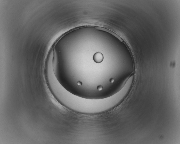 X0000110701136200907021951