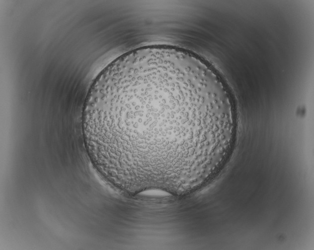 X0000110701137200907021951