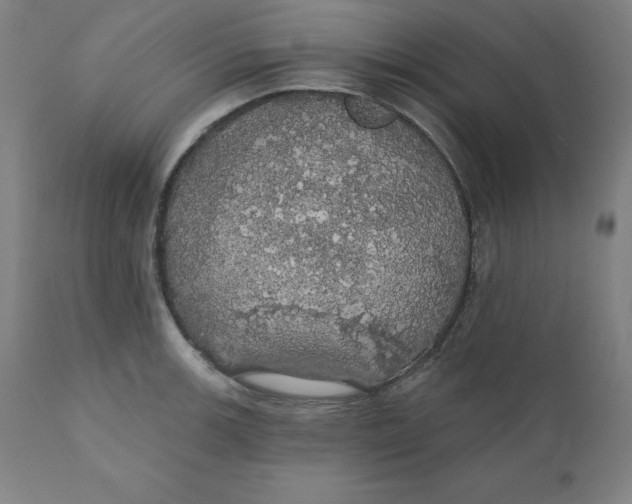 X0000110701139200907021951