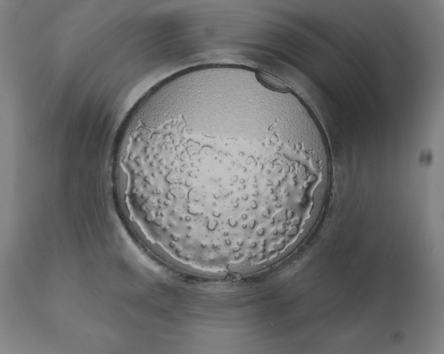 X0000110701141200907021951