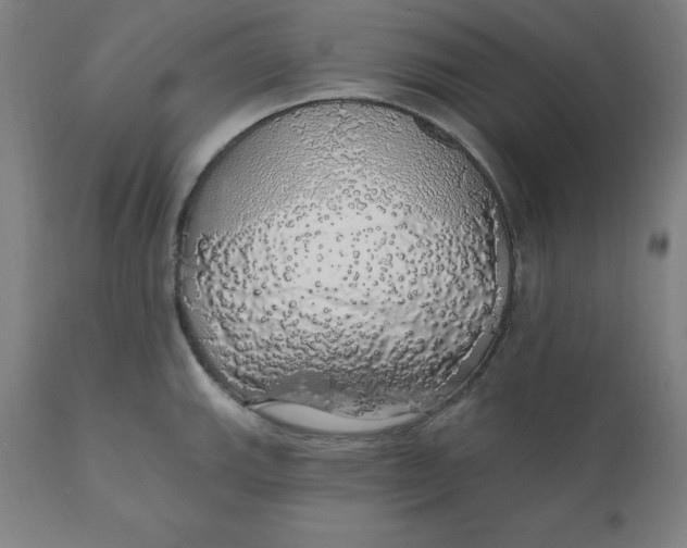 X0000110701143200907021951